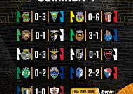 米乐体育官网-里尔主场战胜摄尔维，稳居积分榜前列的简单介绍