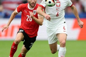 米乐M6娱乐-关于荷兰-轻取奥地利，欧洲杯小组赛保持全胜的信息