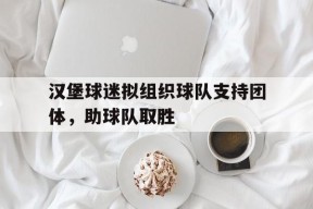 MILE中国官方网站-汉堡球迷拟组织球队支持团体，助球队取胜(德甲球队球迷)