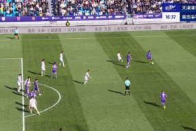 米乐体育官网-天津泰达主场胜利，冲击中超前列(天津泰达足球队赛程表)