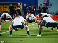 球员备战全面展开，期待马到成功